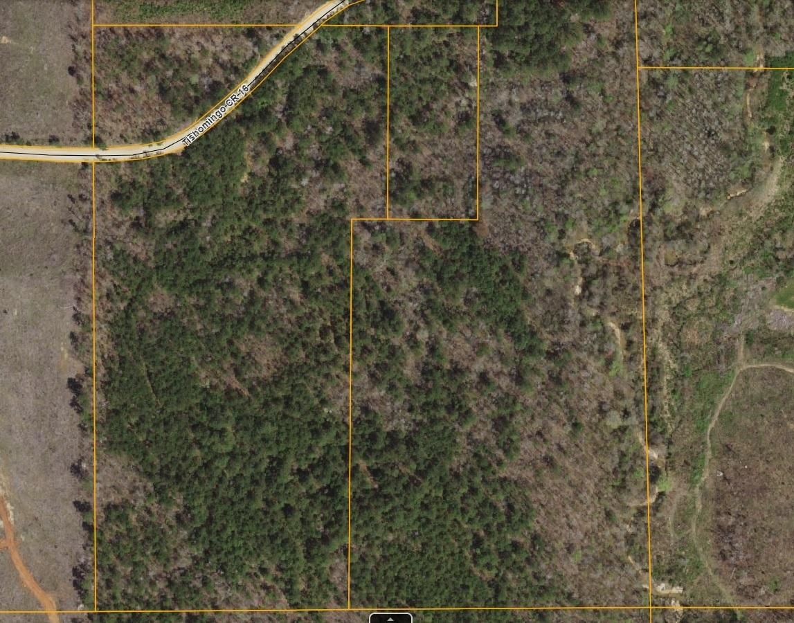 20 acres in Tishomingo County, Mississippi