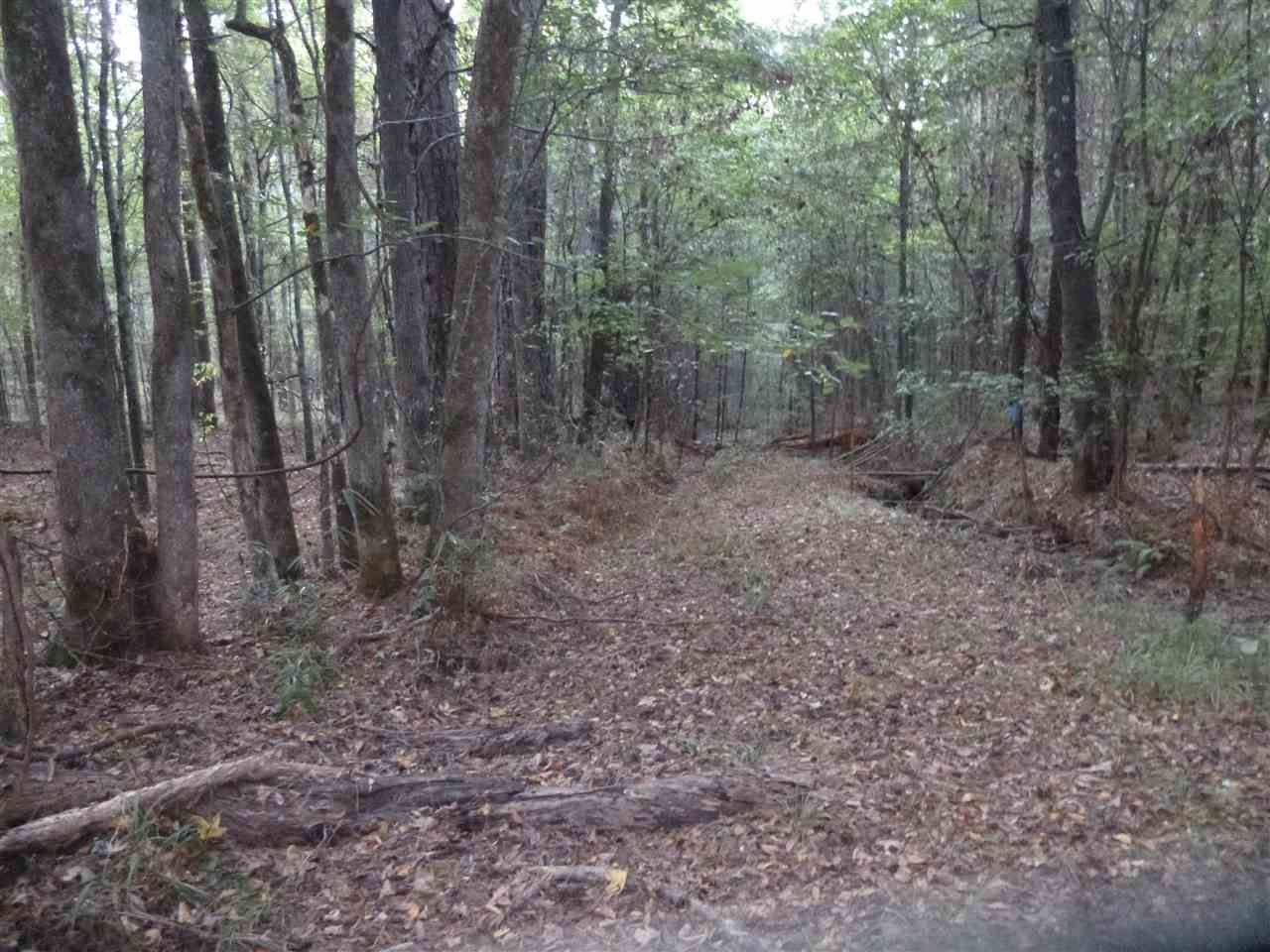 46 acres in Copiah County, Mississippi