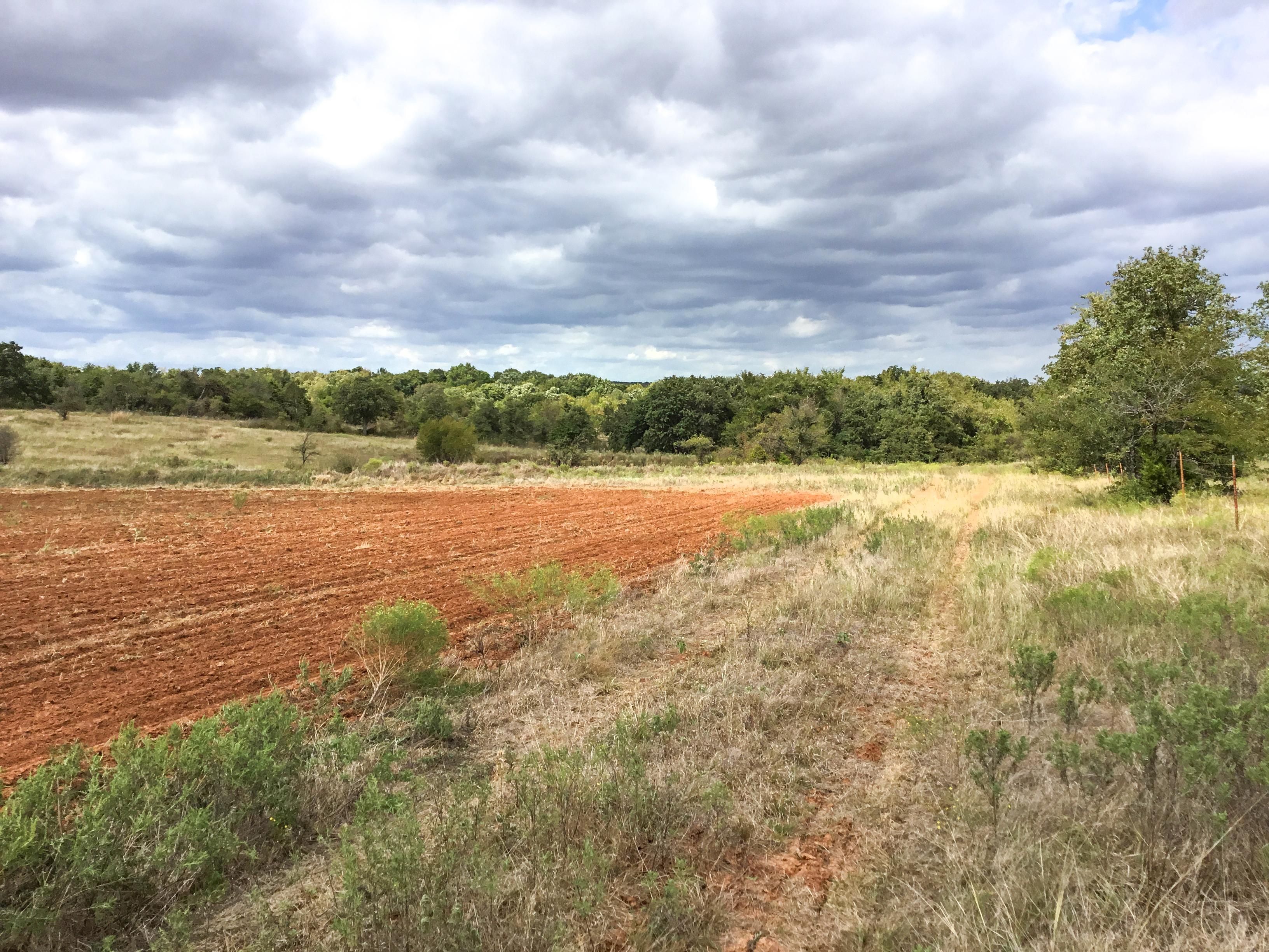 130 acres in Wise County, Texas
