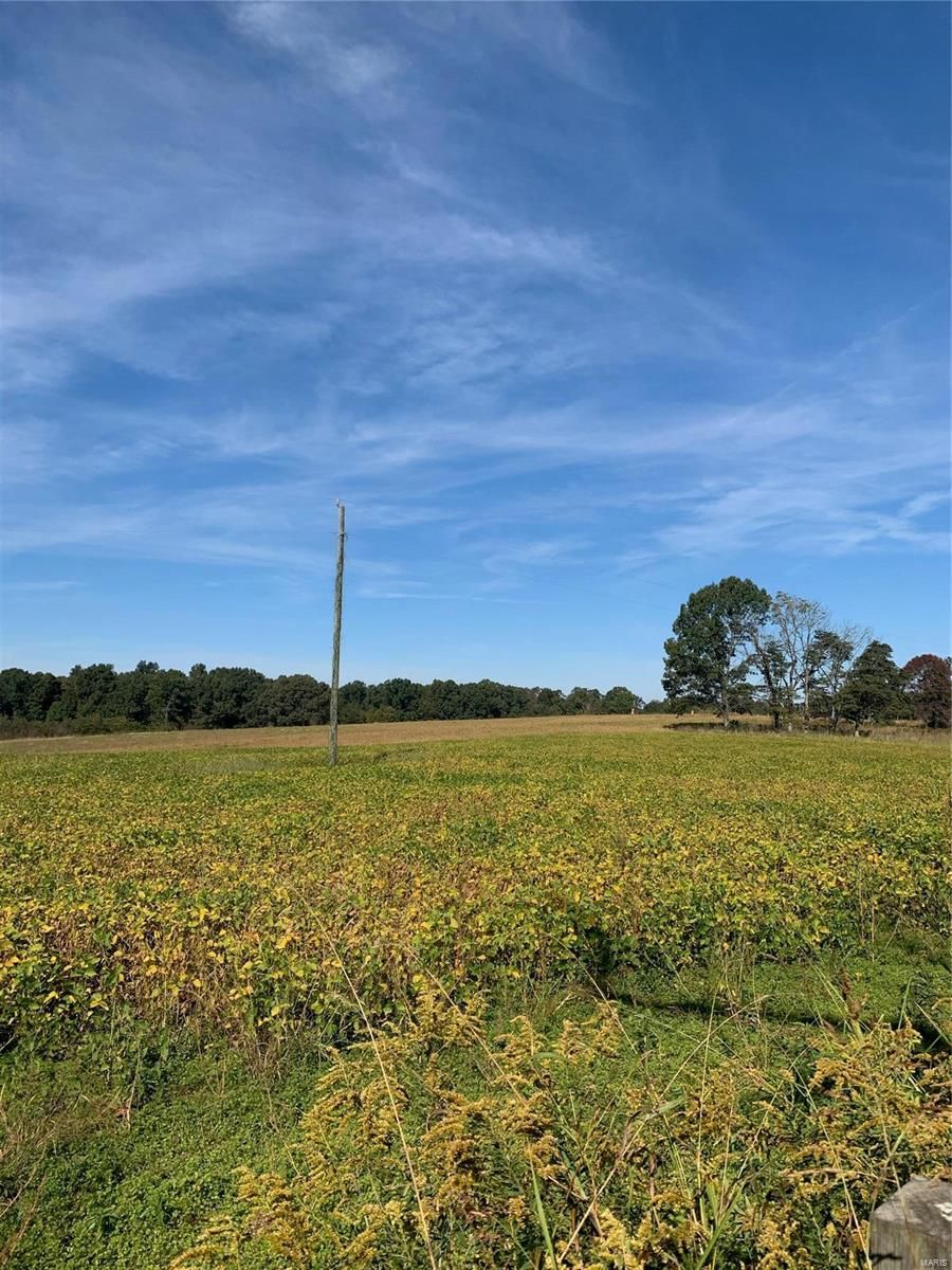 96 acres in Bollinger County, Missouri