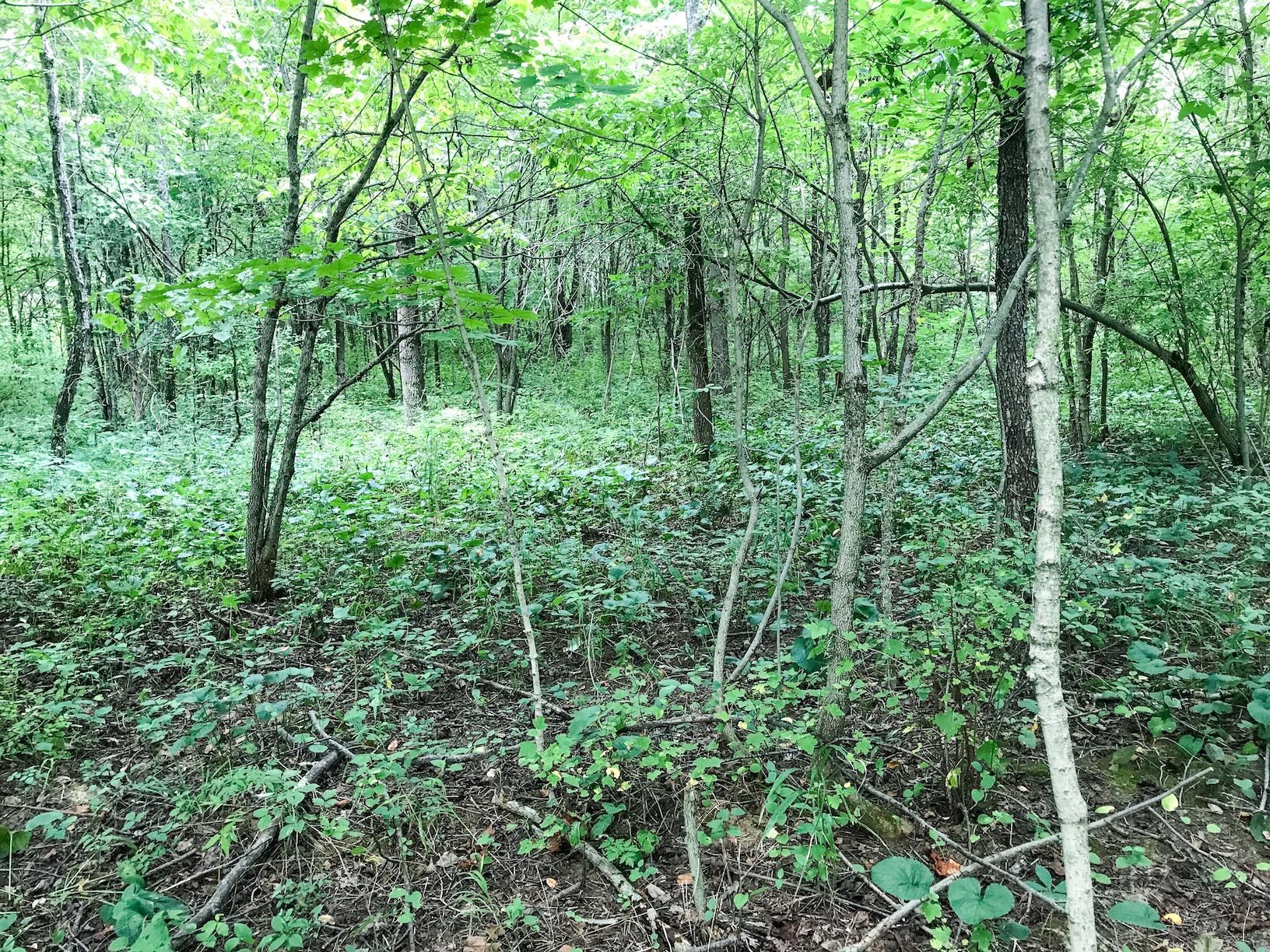 14 acres in Perry County, Ohio