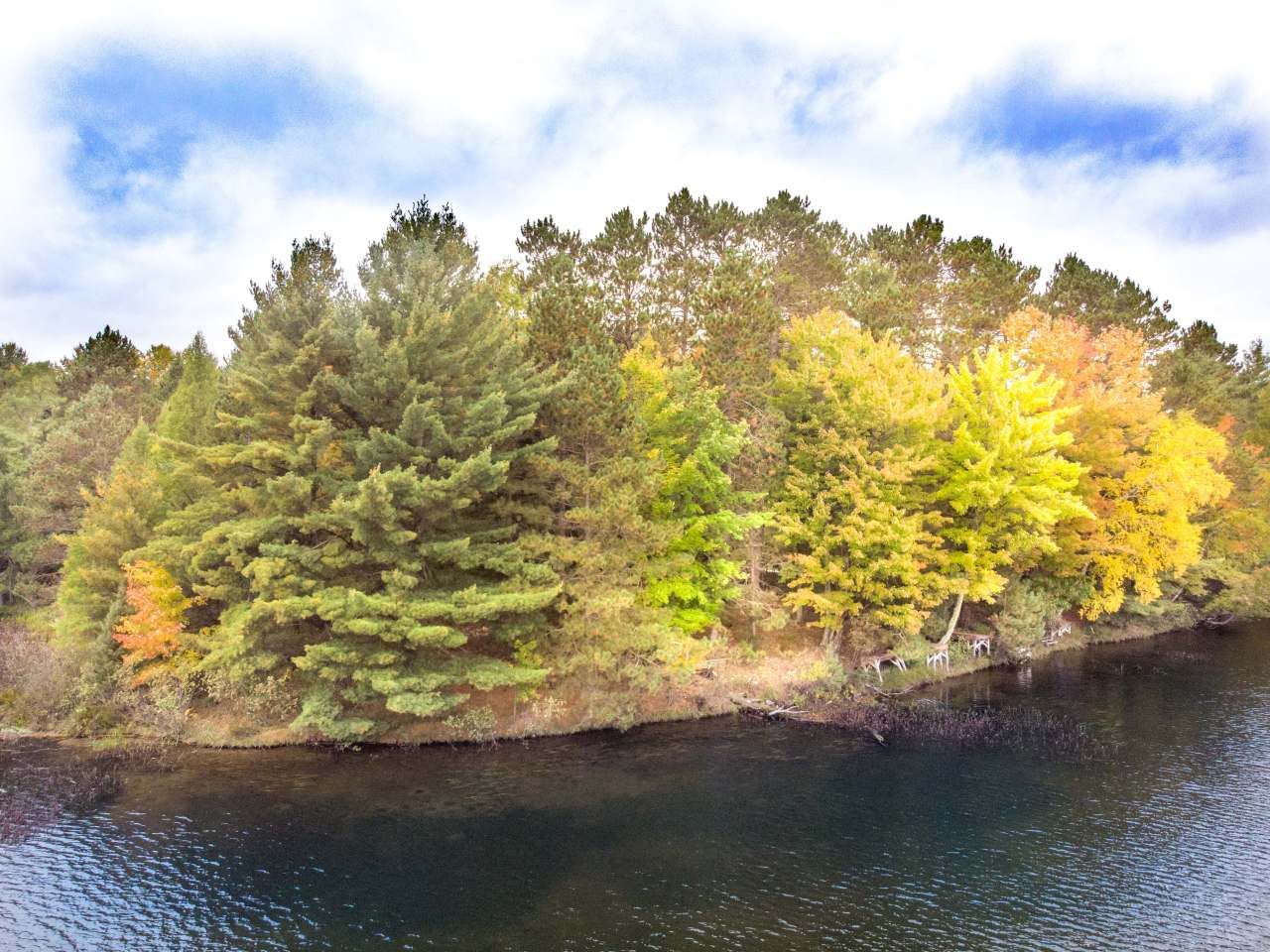 40 acres in Oneida County, Wisconsin