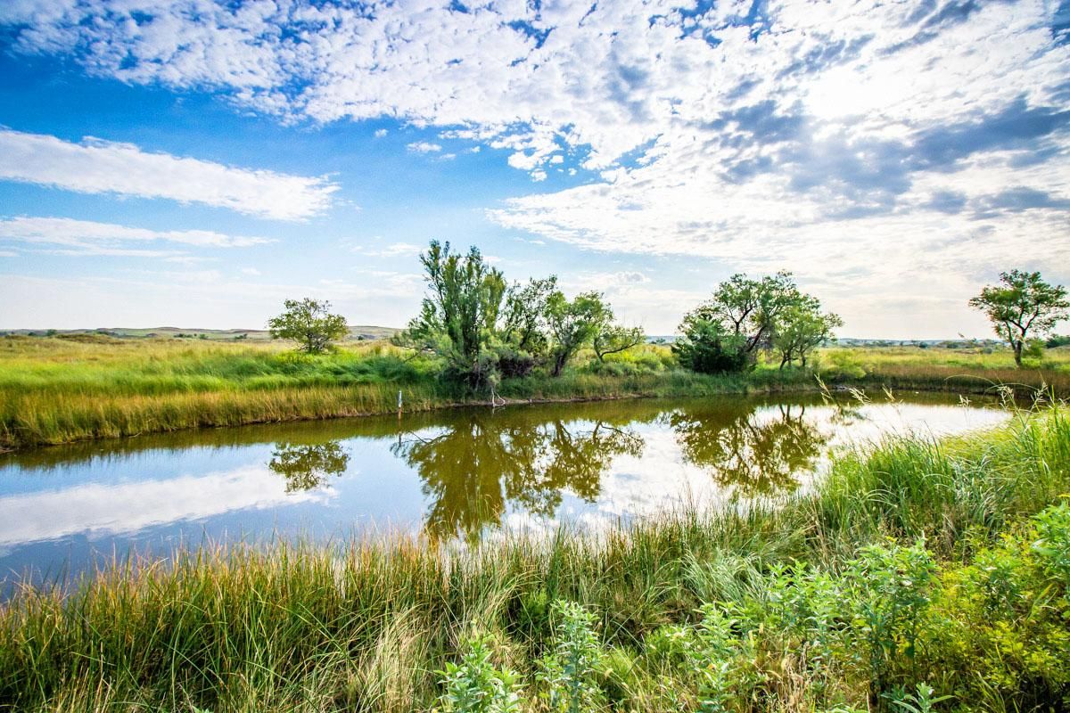 1,444 acres in Wheeler County, Texas