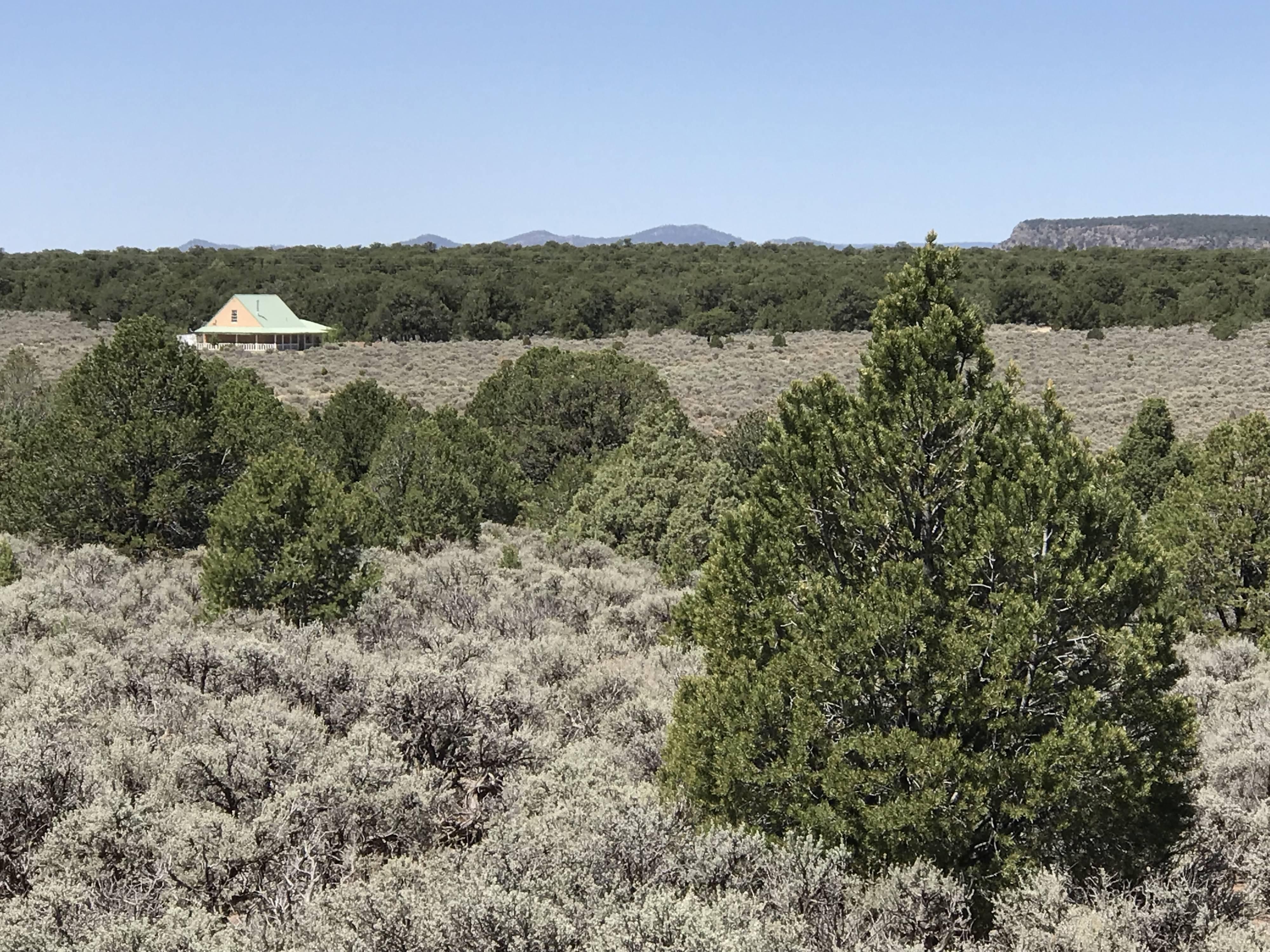 US Highway 285, MM 372, Tres Piedras, NM 87549