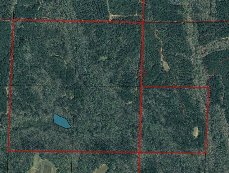 200 acres in Barbour County, Alabama
