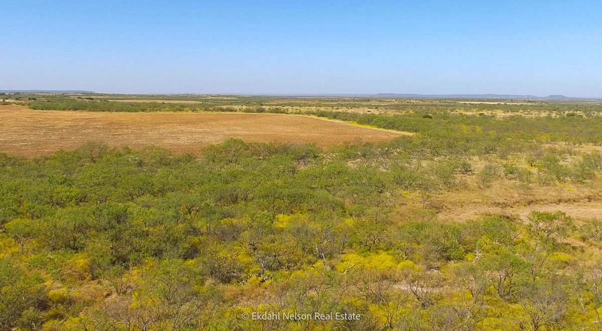10 acres in Eastland County, Texas