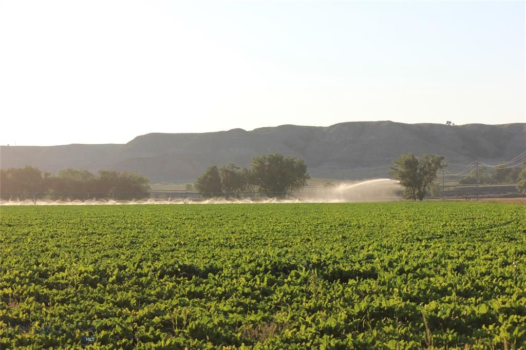 850 acres in Dawson County, Montana