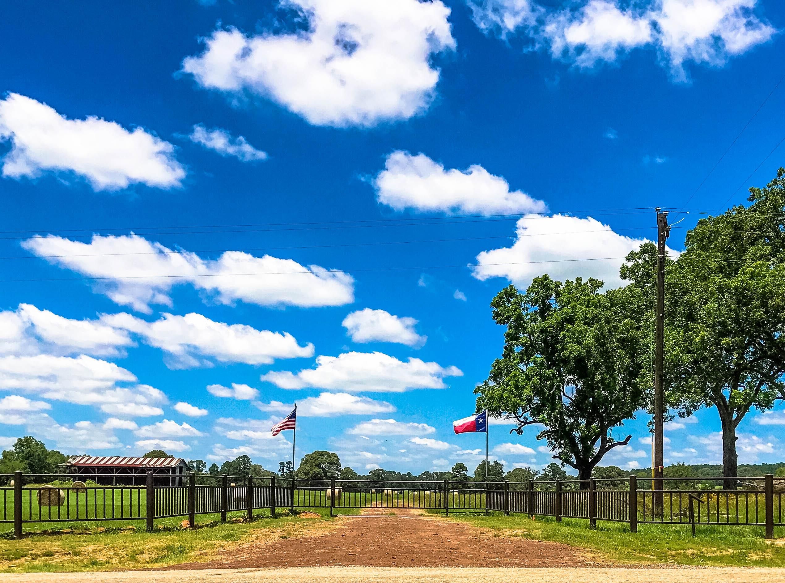96 acres in Henderson County, Texas