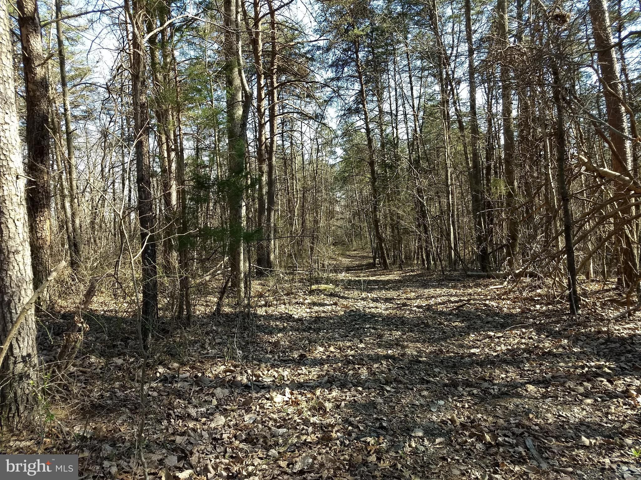 5 acres in Culpeper County, Virginia
