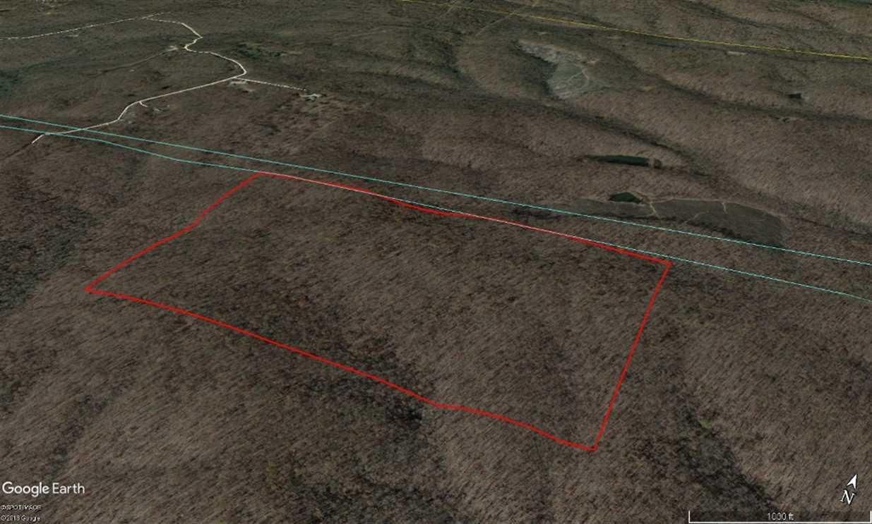 80 acres in Wayne County, Missouri