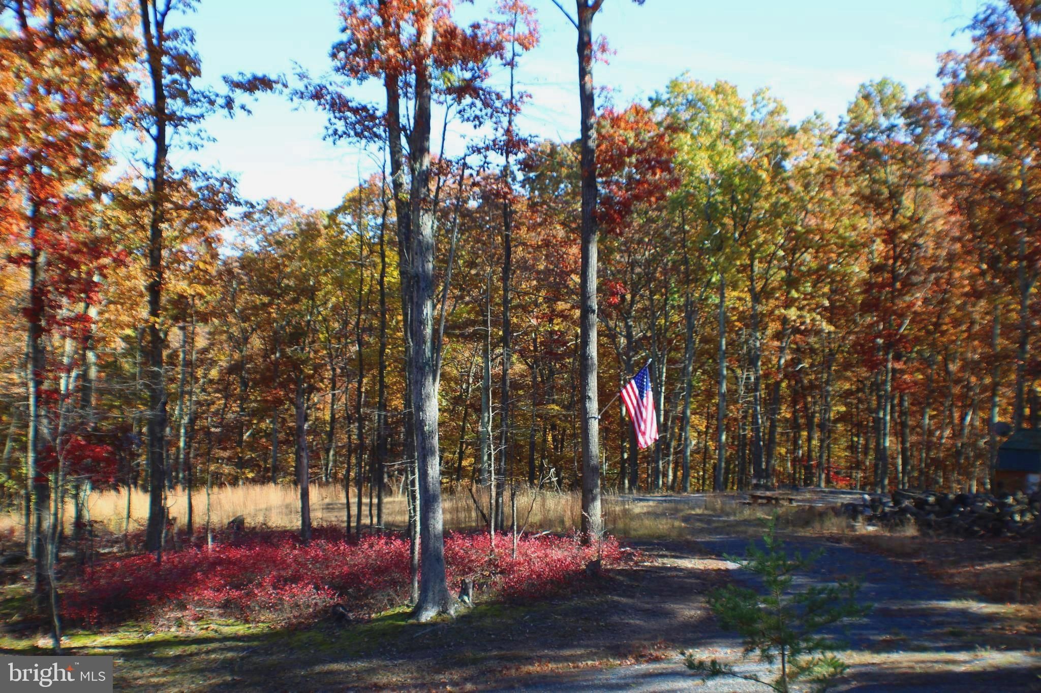 10.89 acres in Hardy County, West Virginia