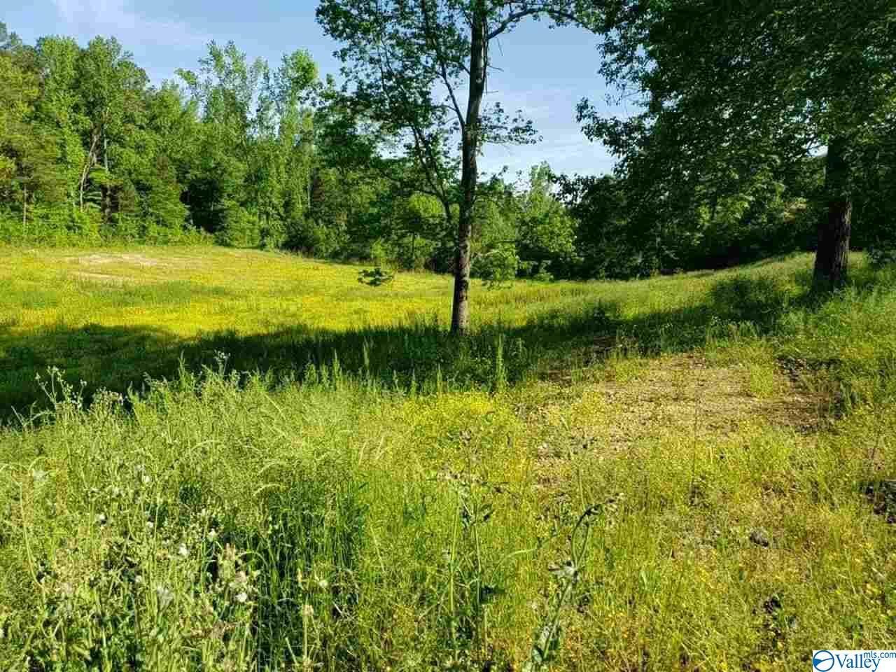 10 acres in Limestone County, Alabama