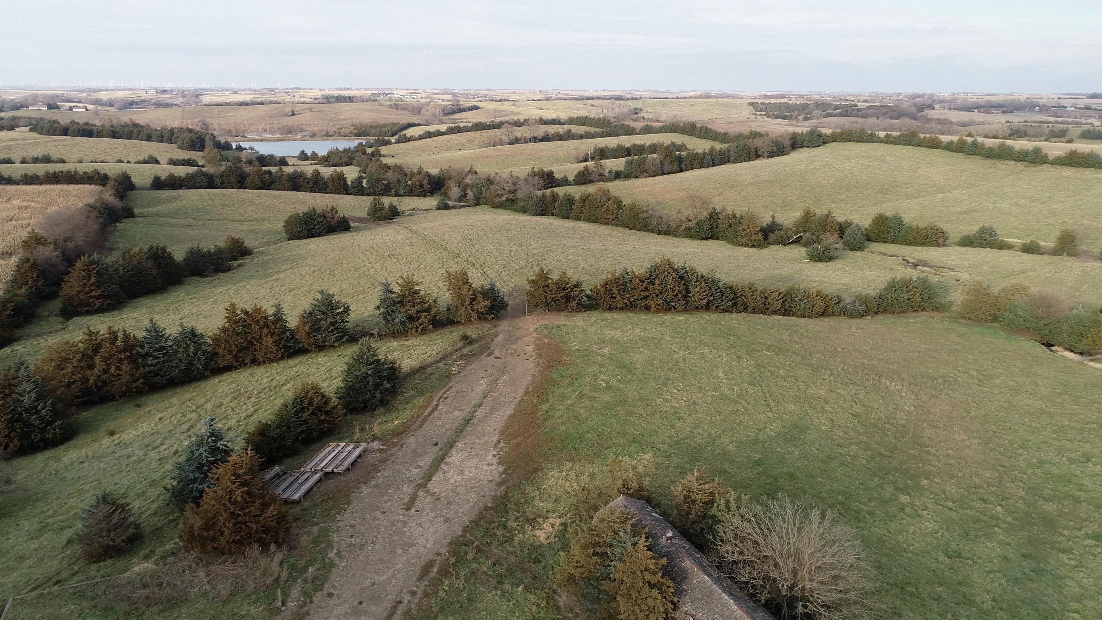 118 acres in Adams County, Iowa