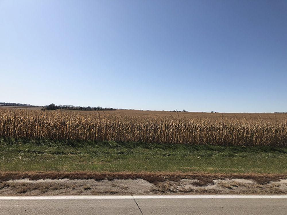 152.27 acres in Cass County, Nebraska