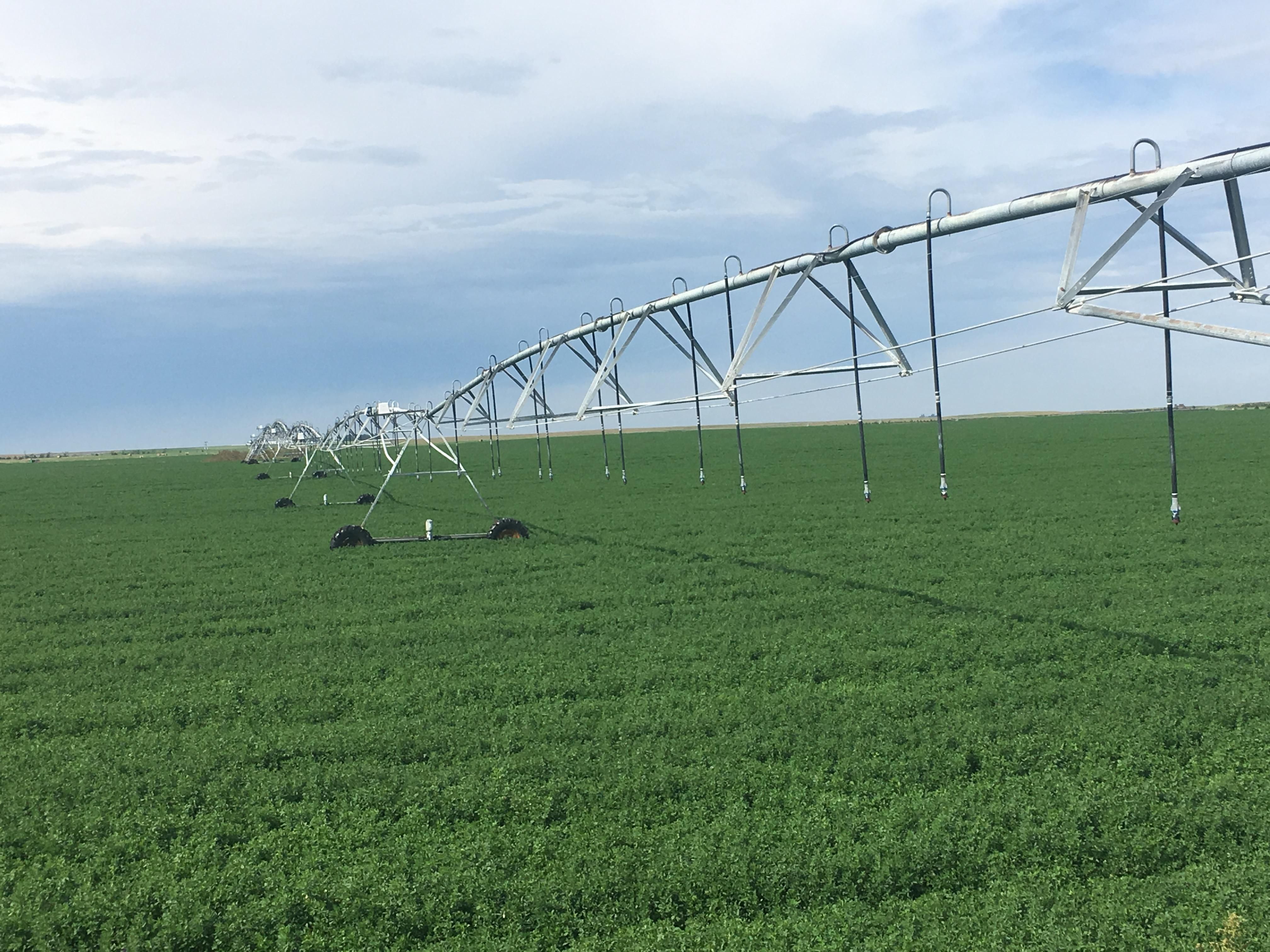 1,636 acres in Sheridan County, Nebraska