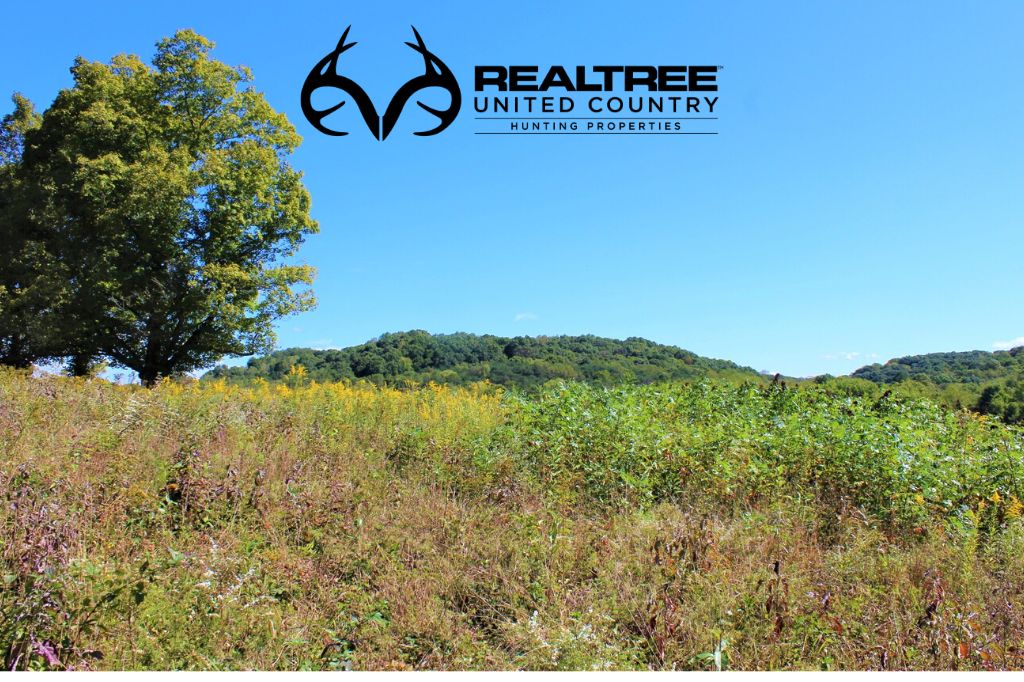 19.5 acres in Vinton County, Ohio