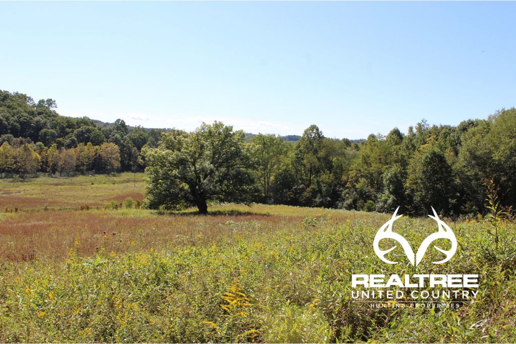 20.02 acres in Vinton County, Ohio