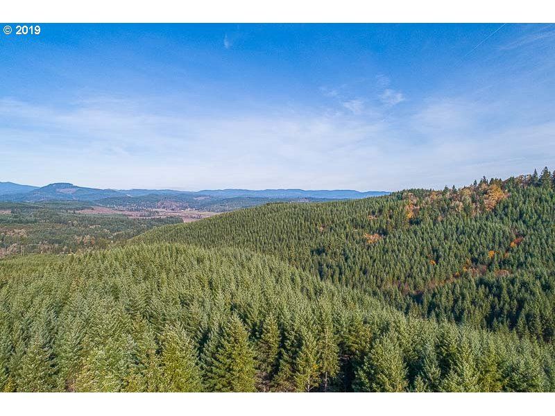 40 acres in Polk County, Oregon