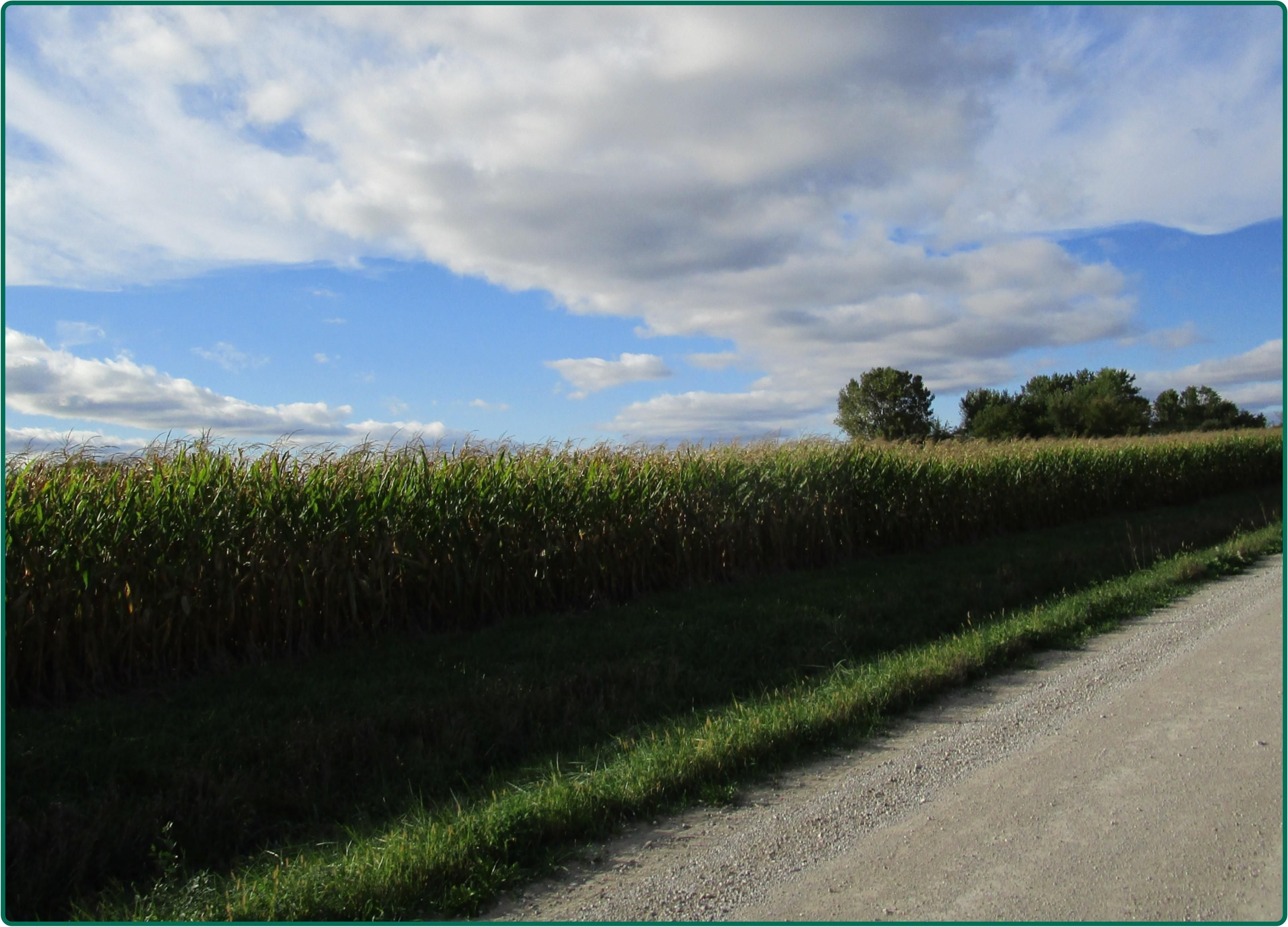 40 acres in Linn County, Iowa