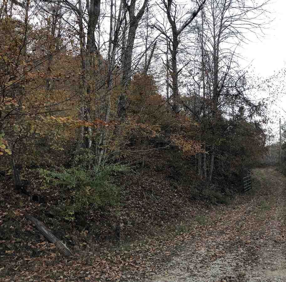 66 acres in Wayne County, West Virginia