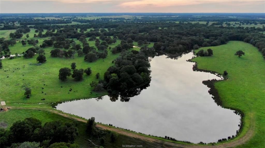 361 acres in Brazos County, Texas