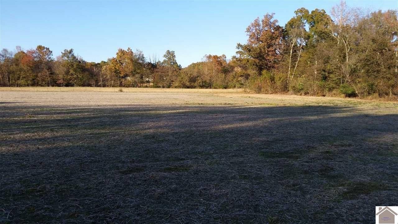 20 acres in Calloway County, Kentucky