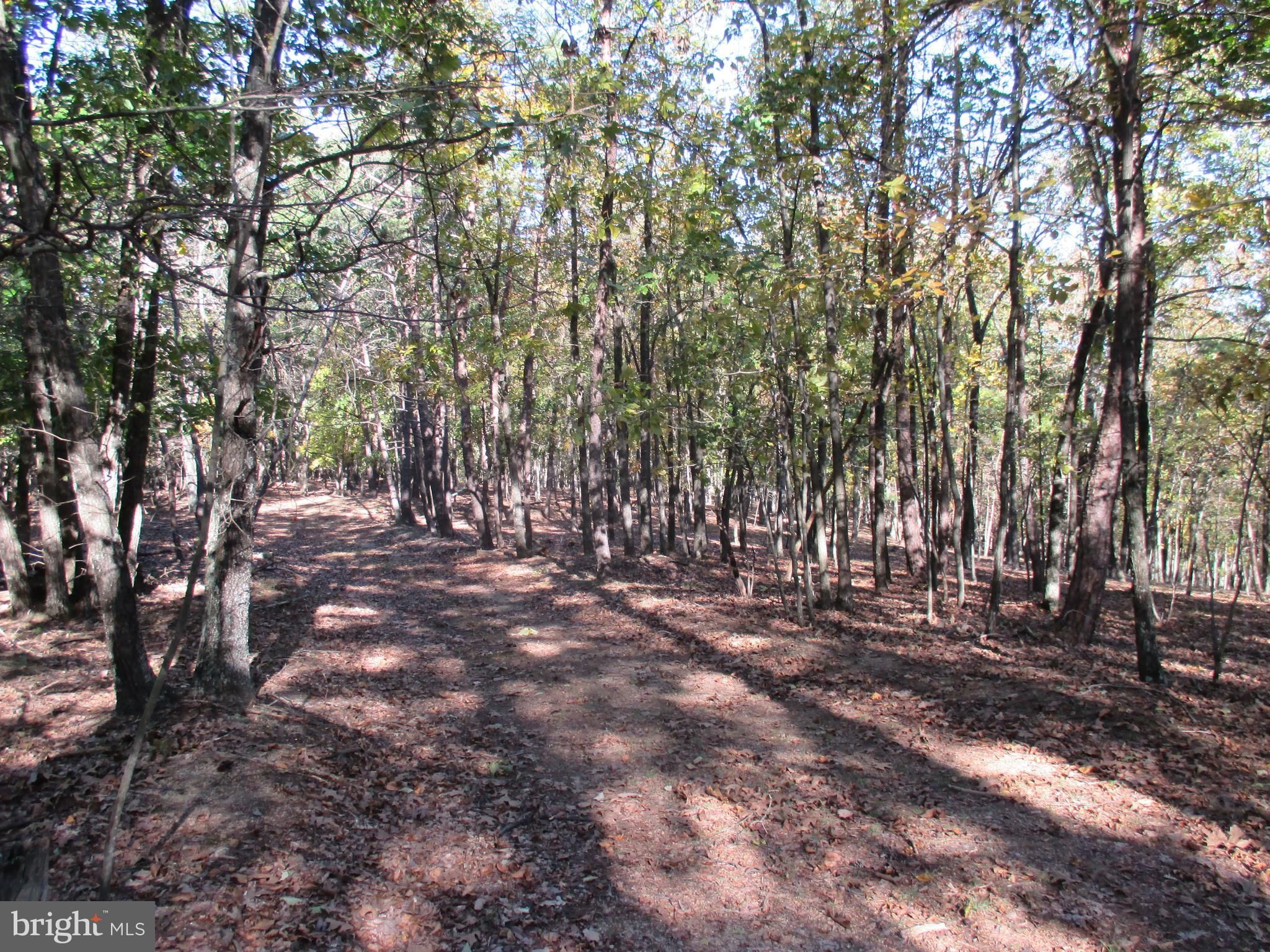 52.62 acres in Hardy County, West Virginia