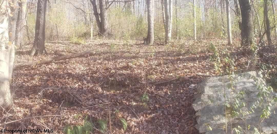 17.05 acres in Harrison County, West Virginia