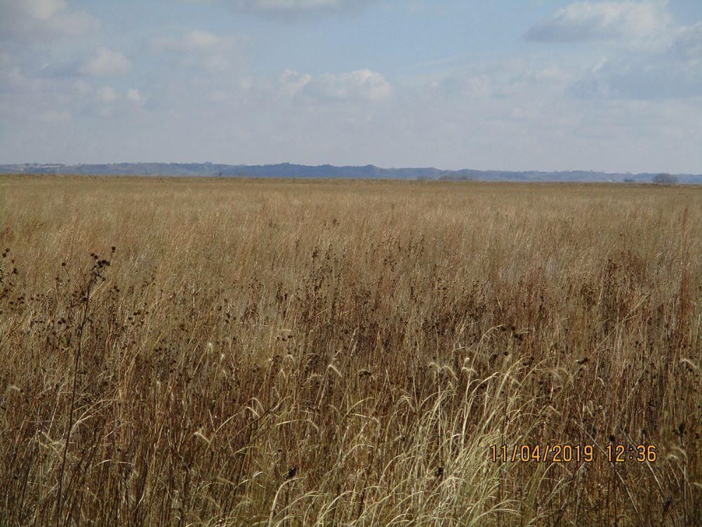 156 acres in Woodbury County, Iowa