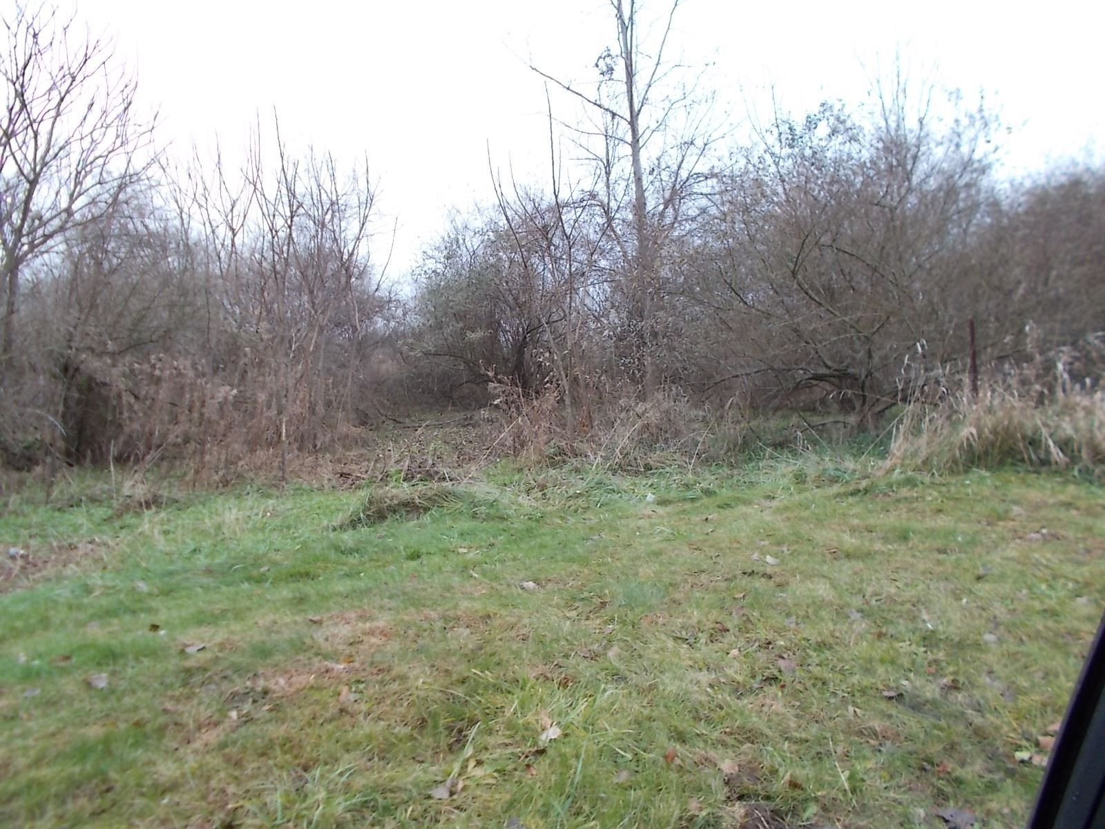 10 acres in Lagrange County, Indiana