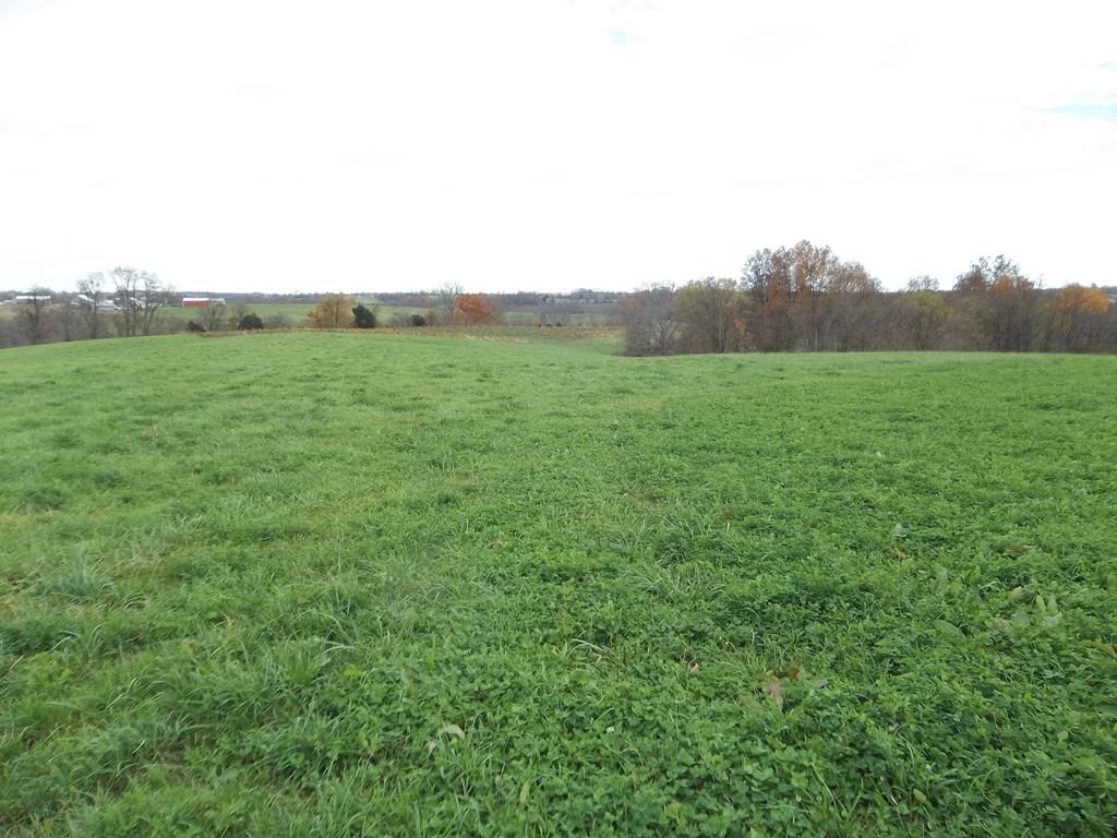 119 acres in Fleming County, Kentucky