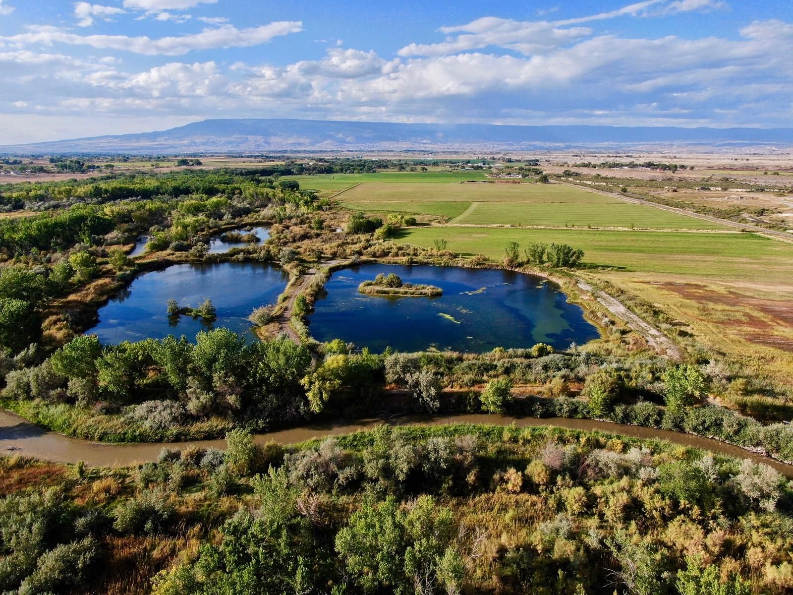 49 acres in Montrose County, Colorado