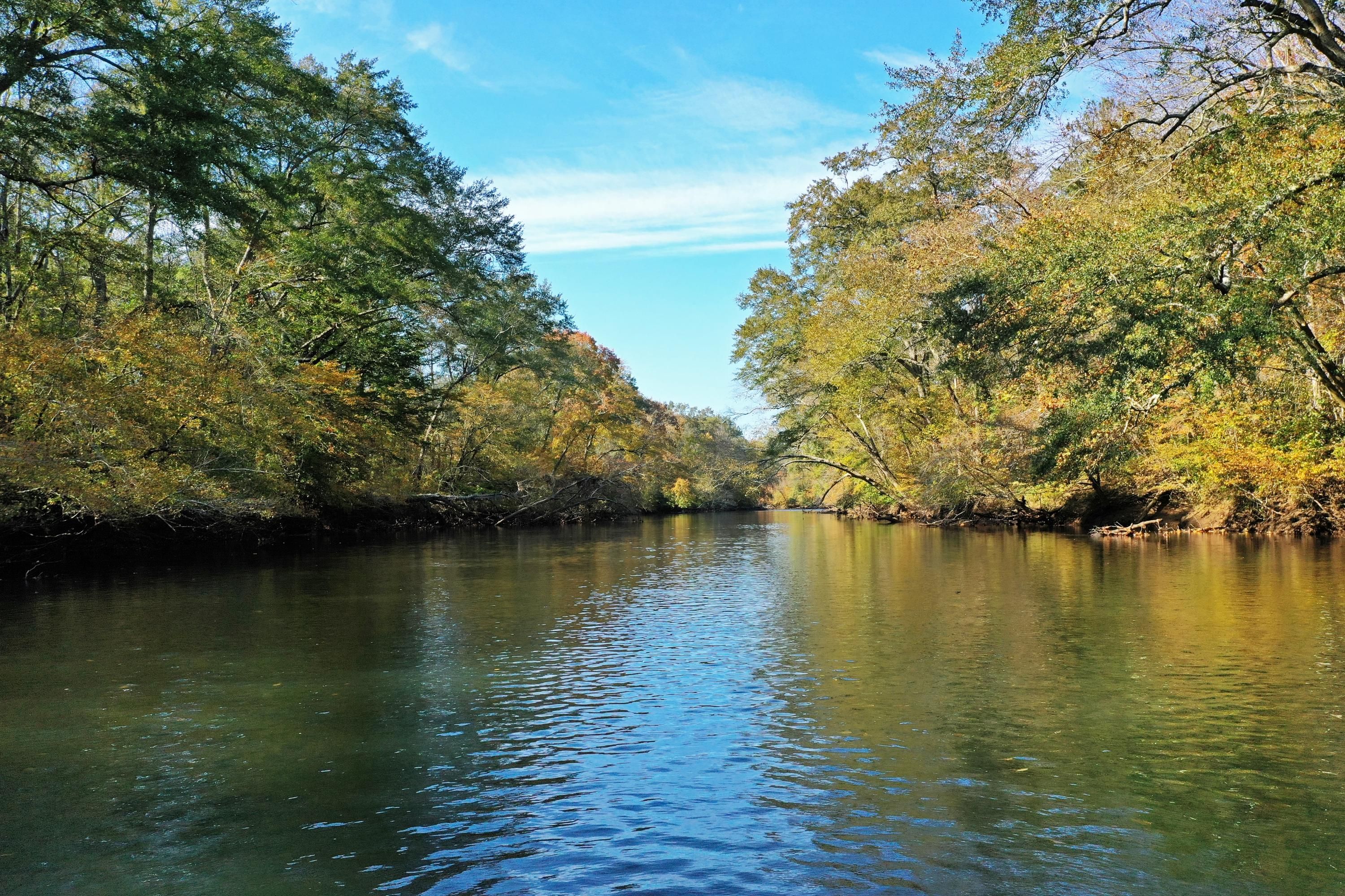 17 acres in Polk County, Tennessee