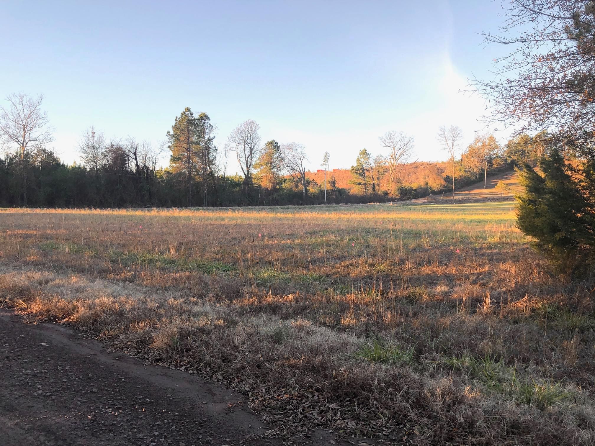 5 acres in Yell County, Arkansas