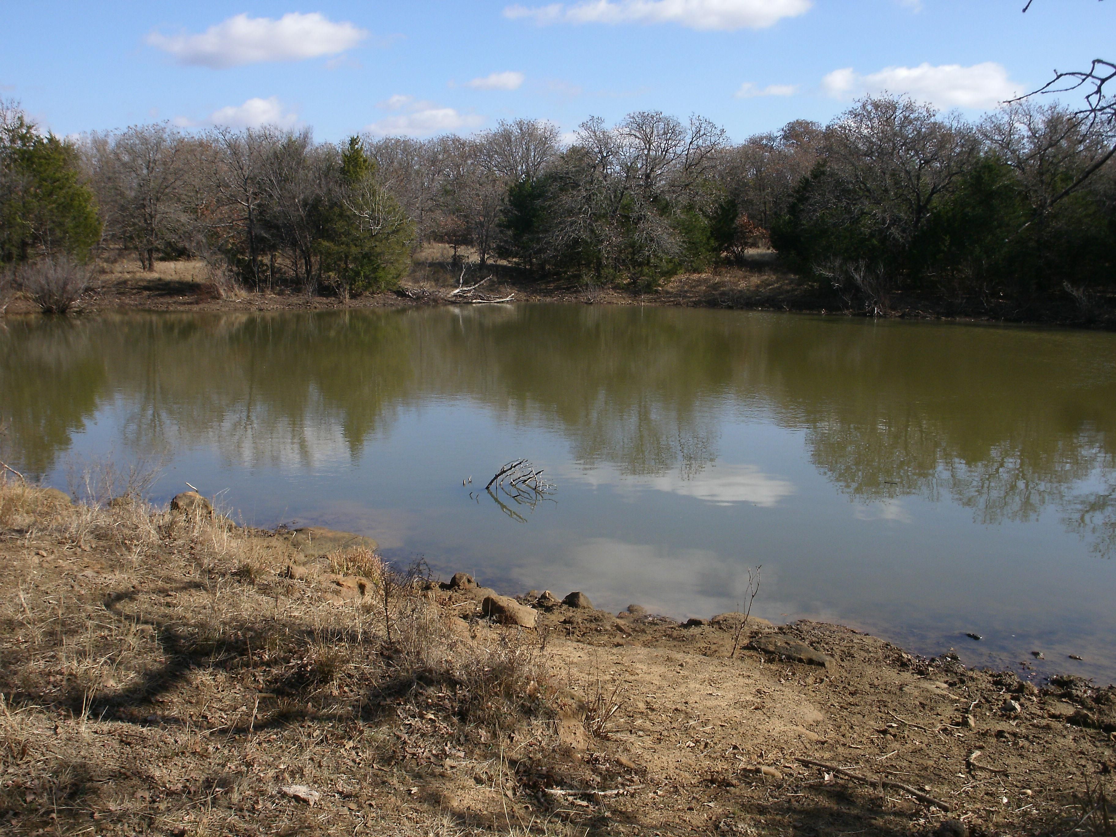 120 acres in Clay County, Texas