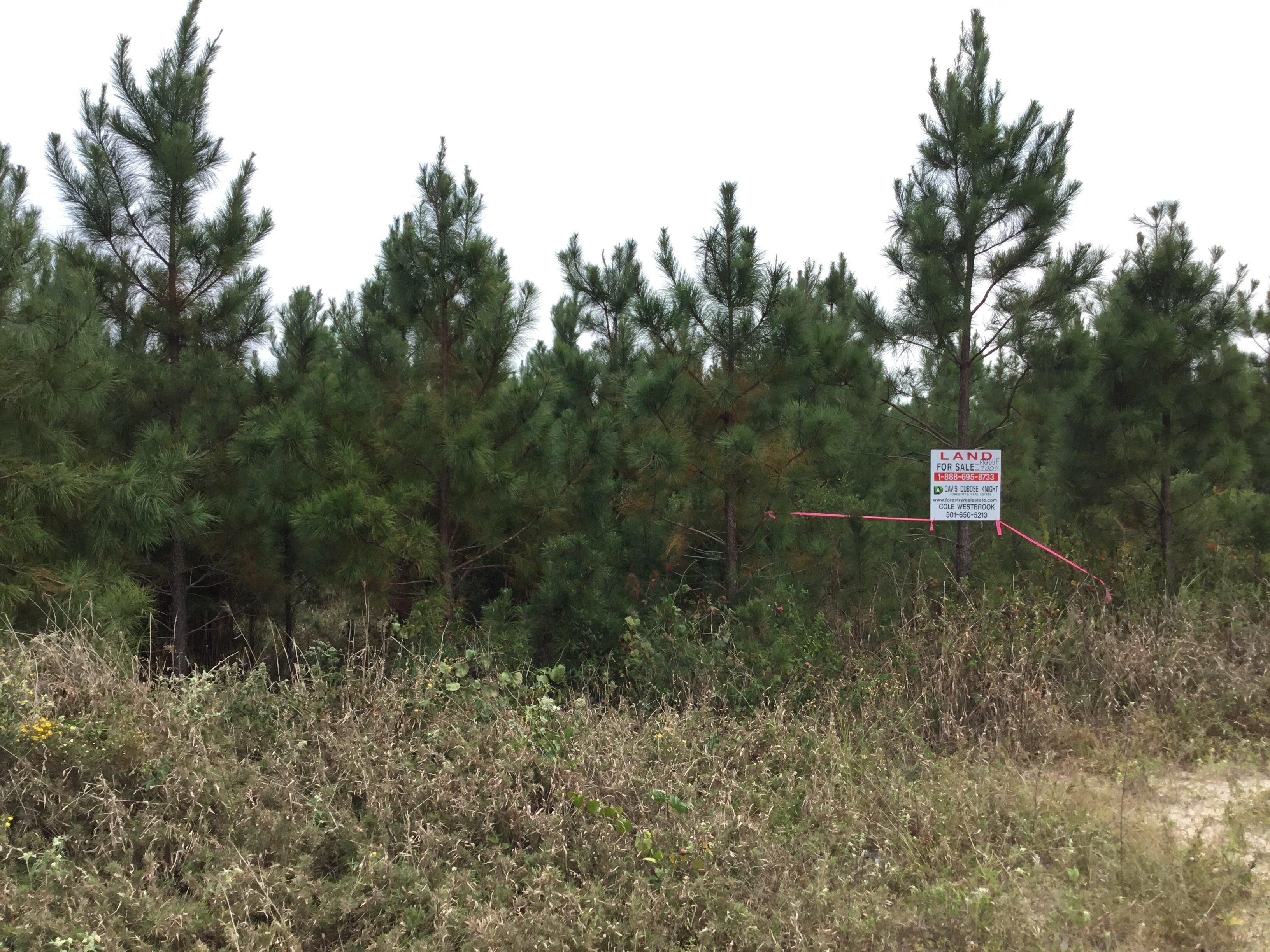 200 acres in Grant County, Arkansas