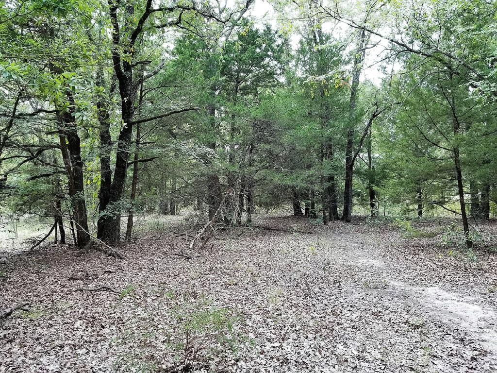 5 acres in Henderson County, Texas