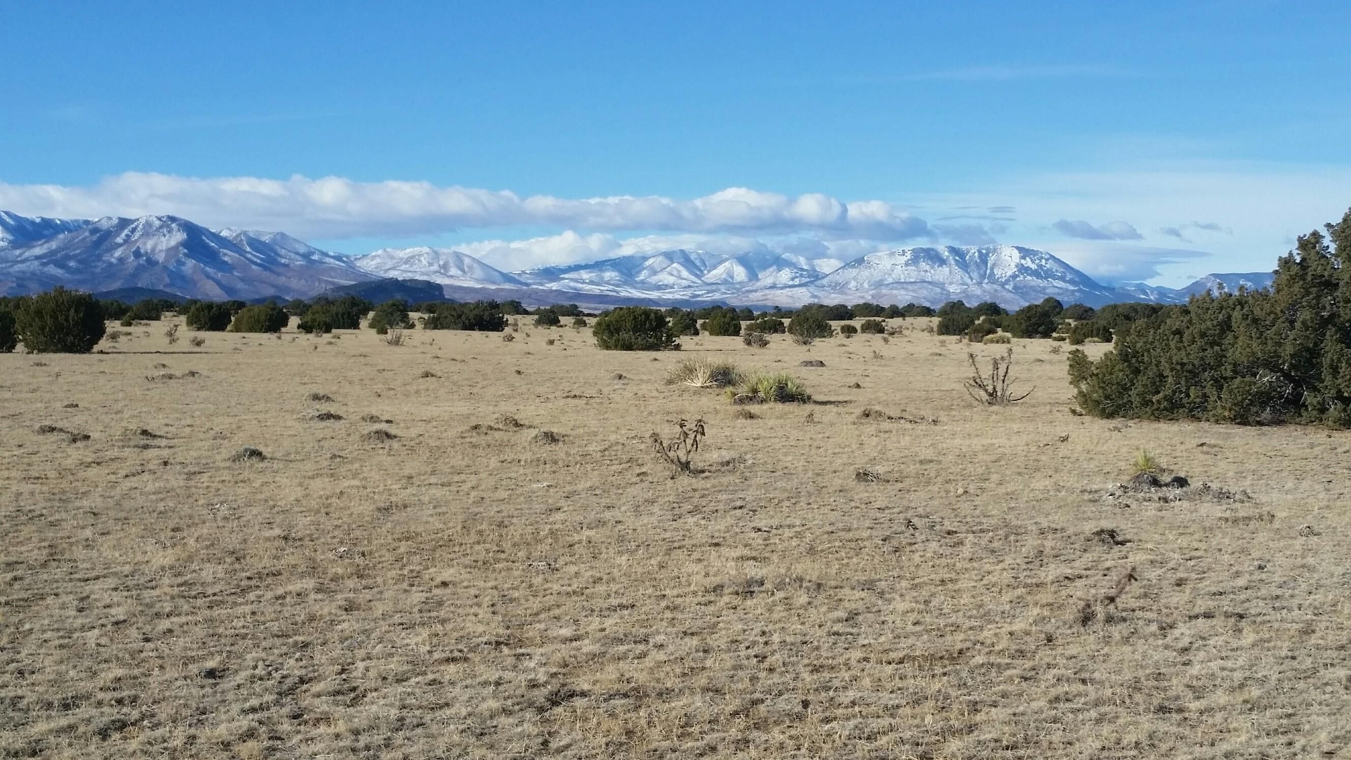 40 acres in Huerfano County, Colorado