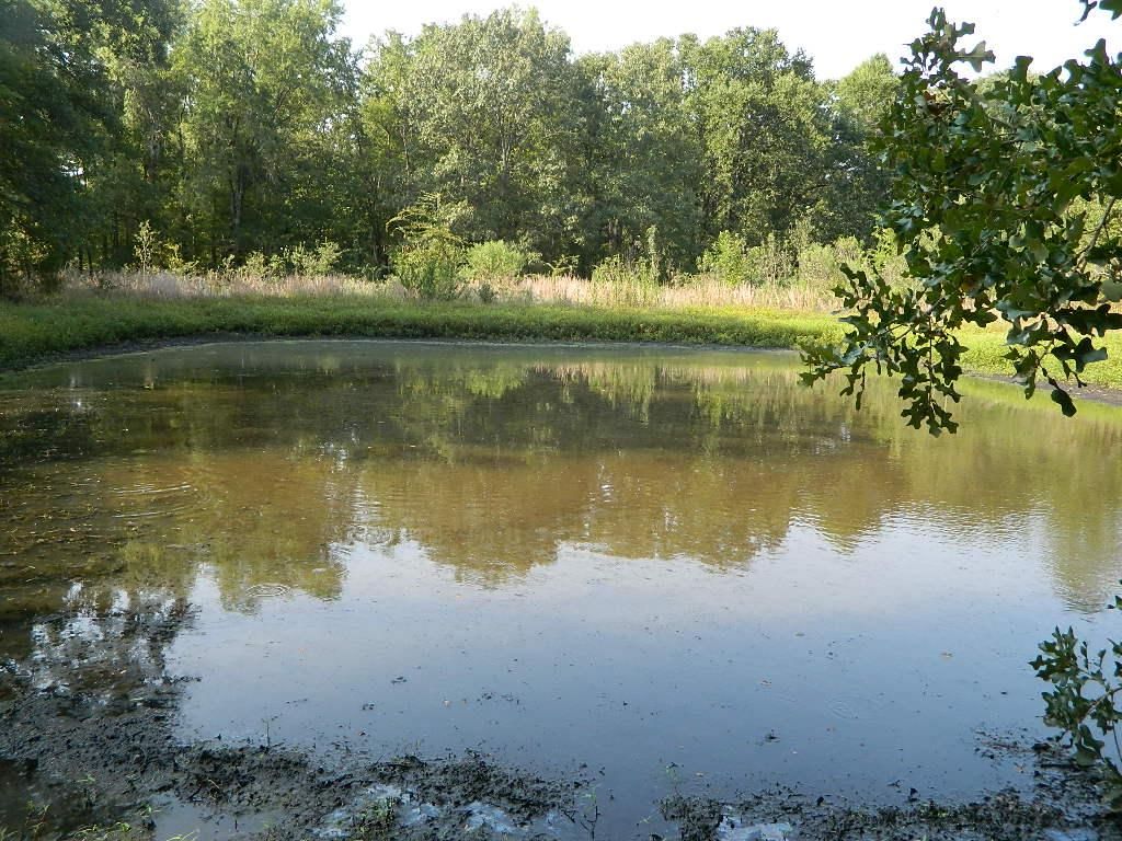 13.3 acres in Bowie County, Texas