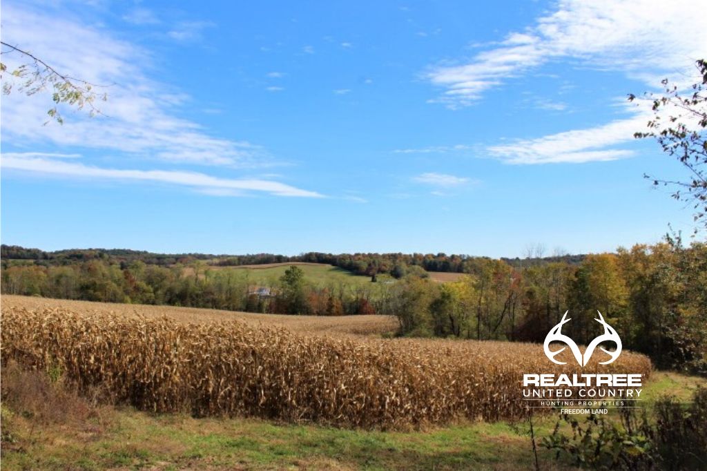 65 acres in Licking County, Ohio