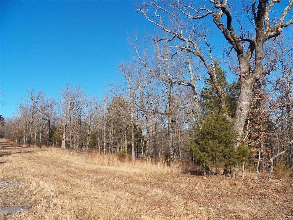 10 acres in Marion County, Arkansas
