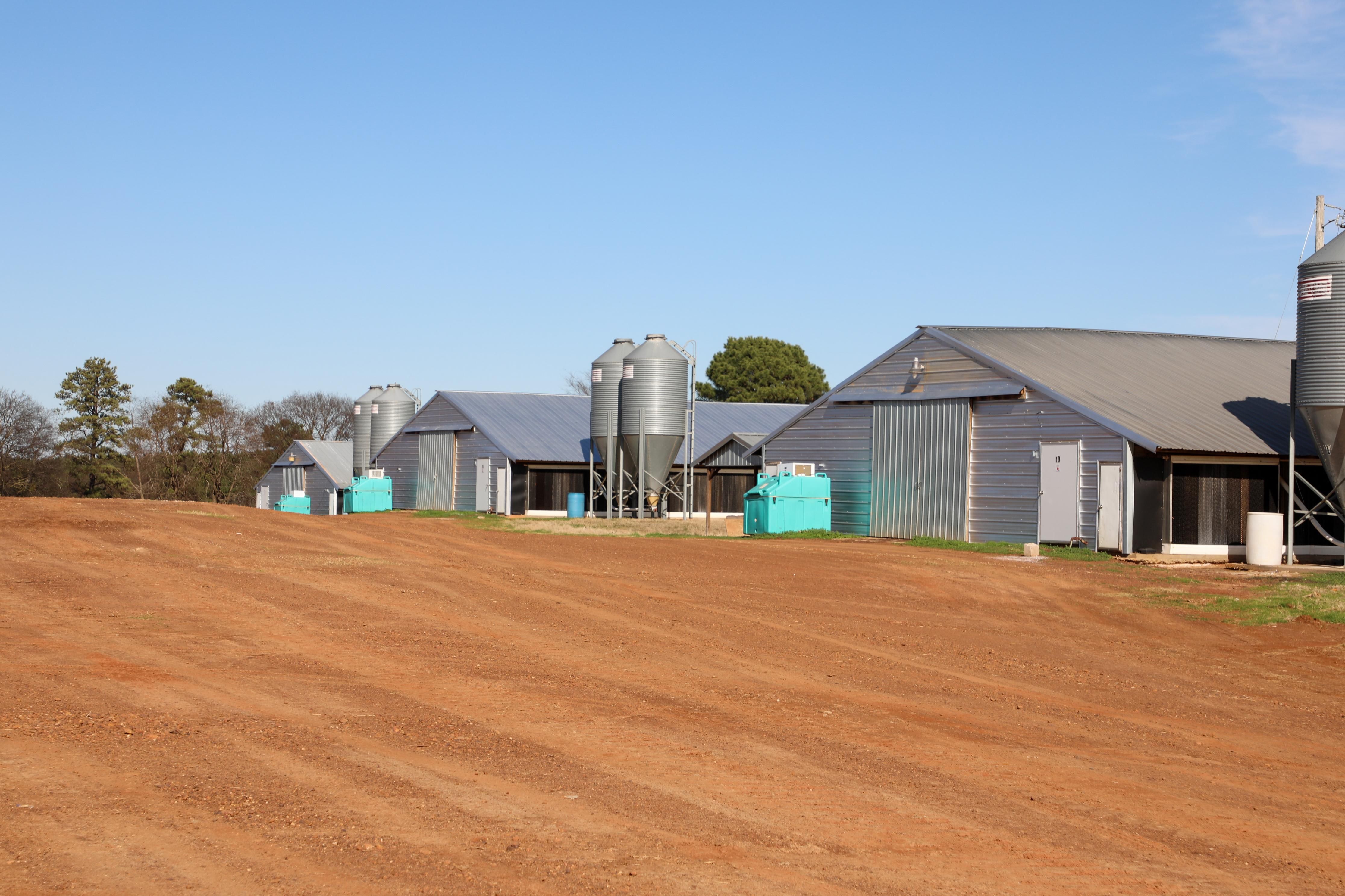 26 acres in Camp County, Texas