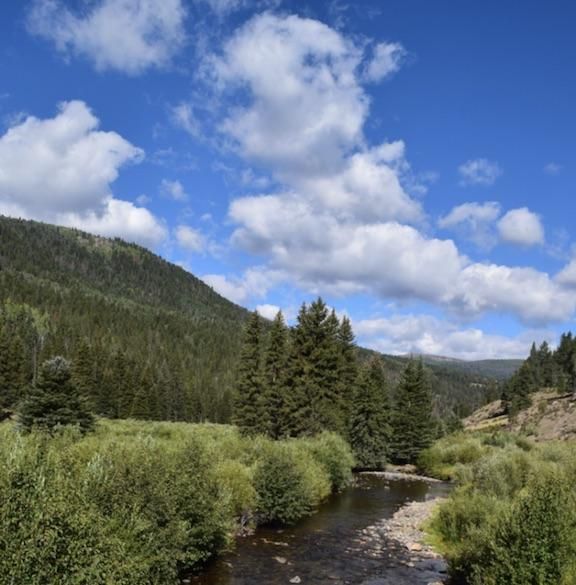 40 acres in Grand County, Colorado