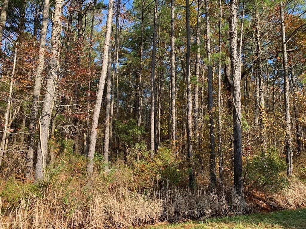 30 acres in County, Virginia