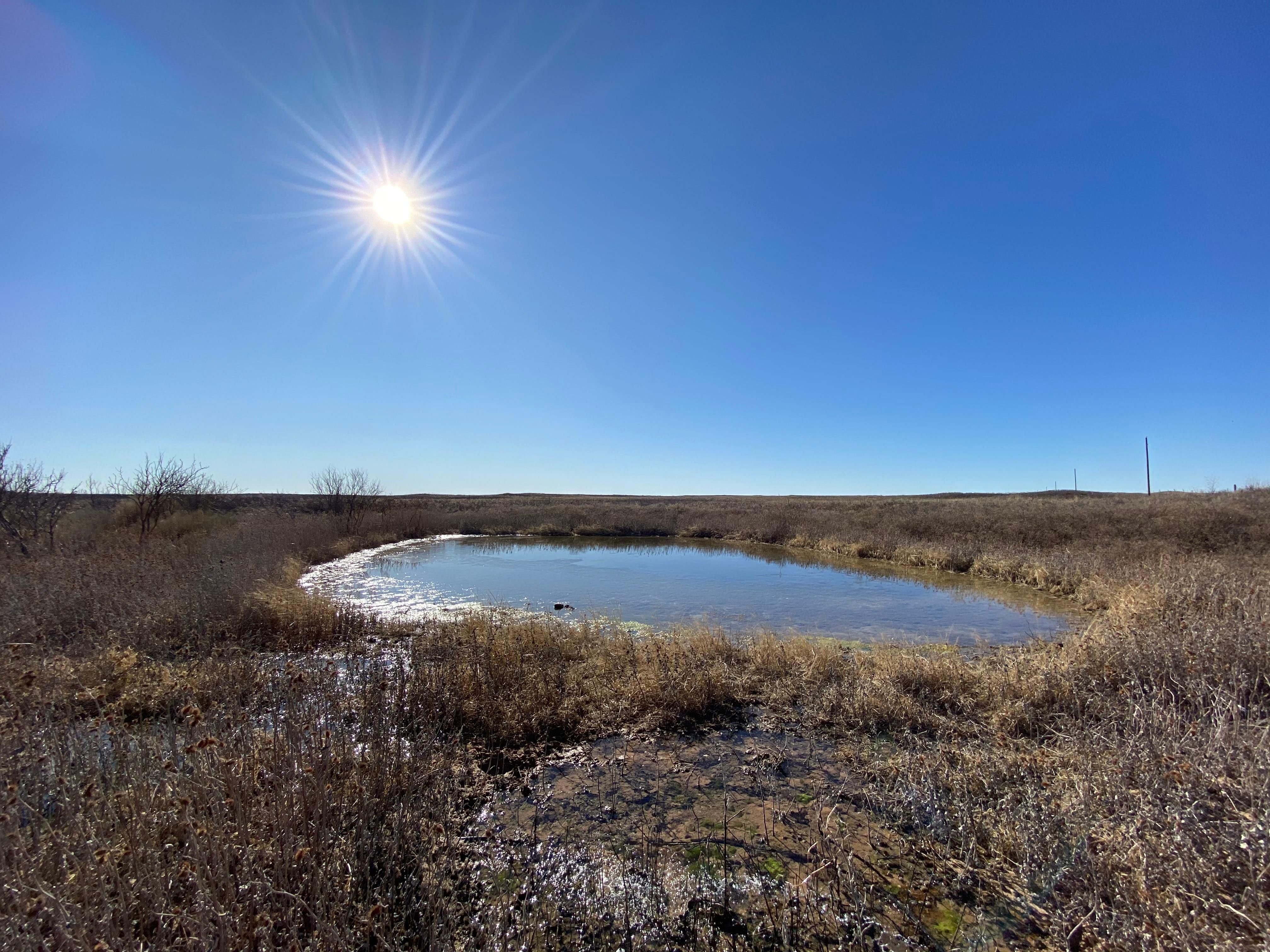 576 acres in Cochran County, Texas