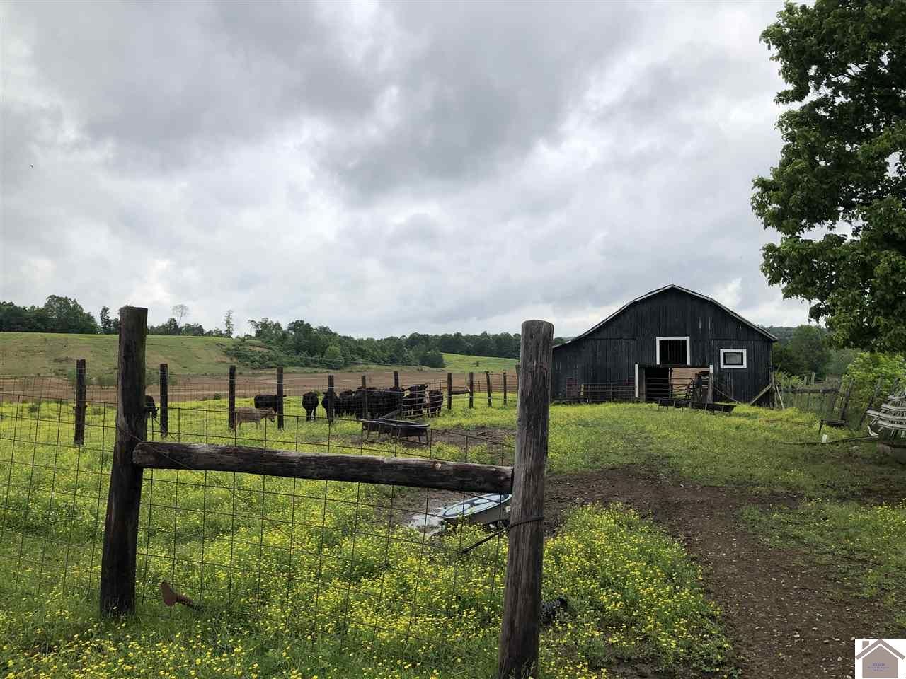 120 acres in Caldwell County, Kentucky