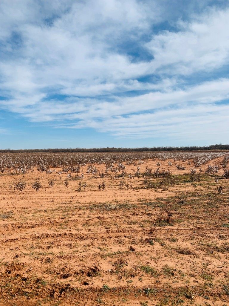 160 acres in Kent County, Texas