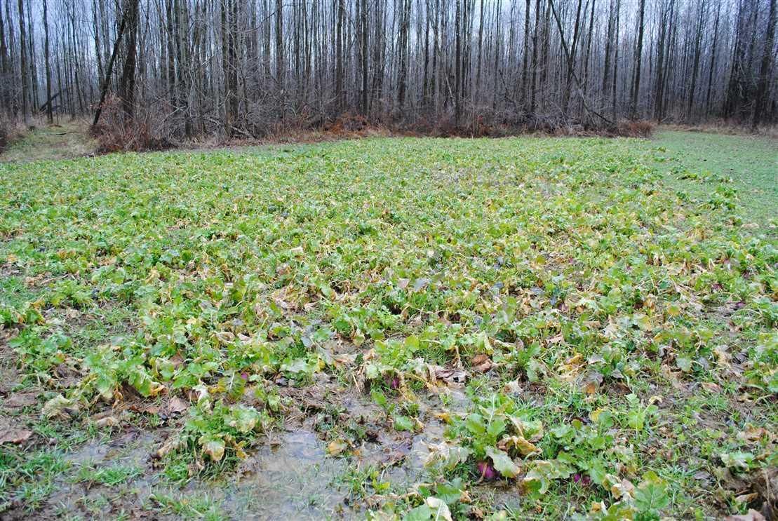 121 acres in Scott County, Indiana