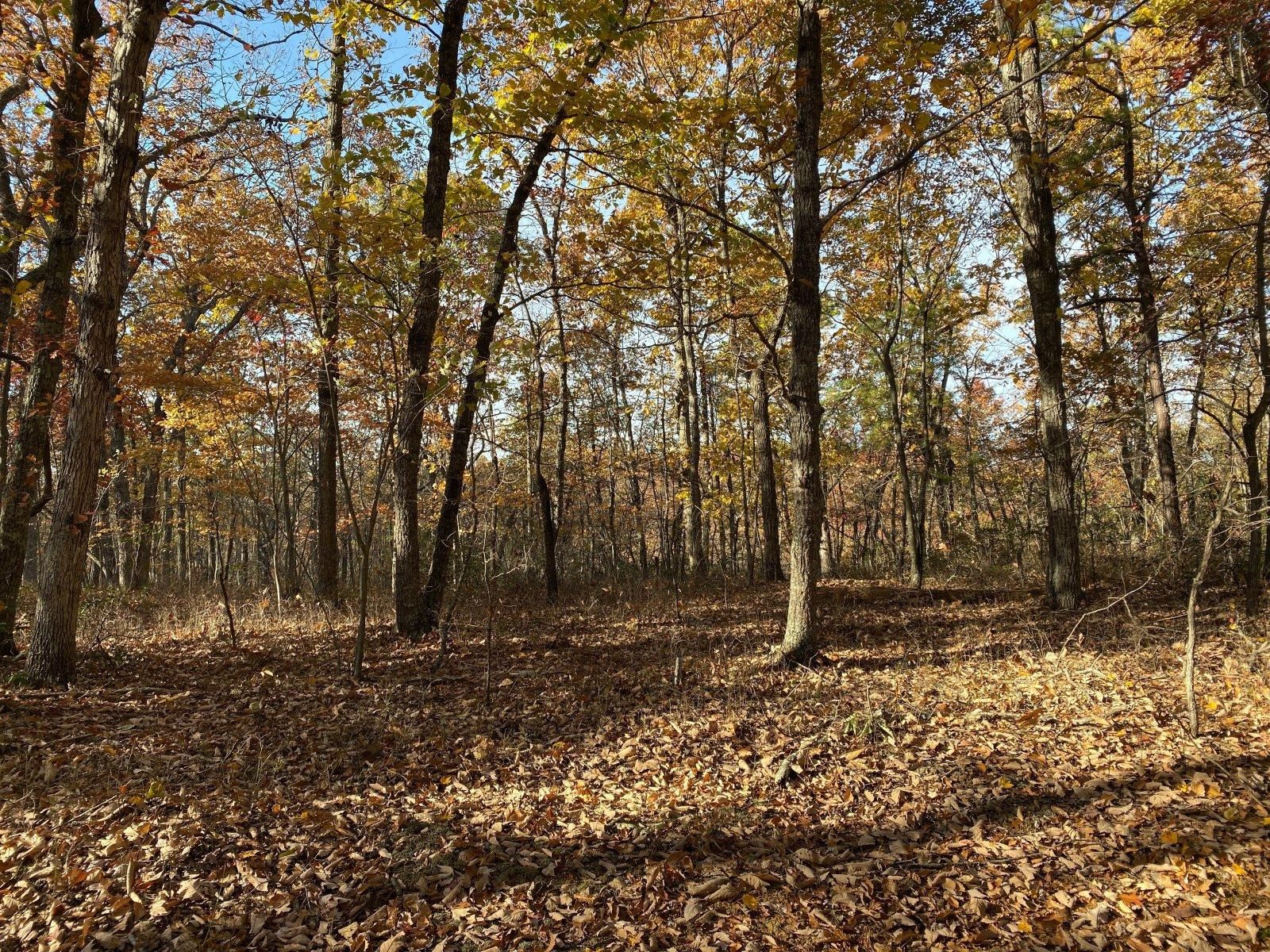 1305 Trailwood Rd, Huddleston, VA 24104 MLS 253324