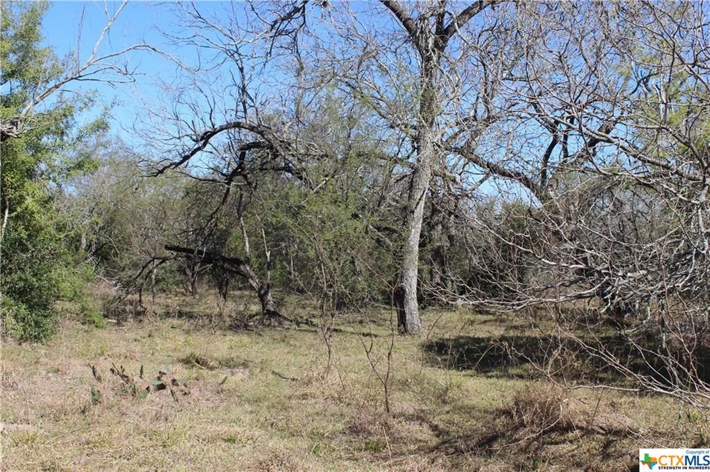 3.59 acres in Goliad County, Texas